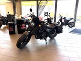 Honda CMX 500 Rebel - CHOPPER VON 251 BIS 500 CCM