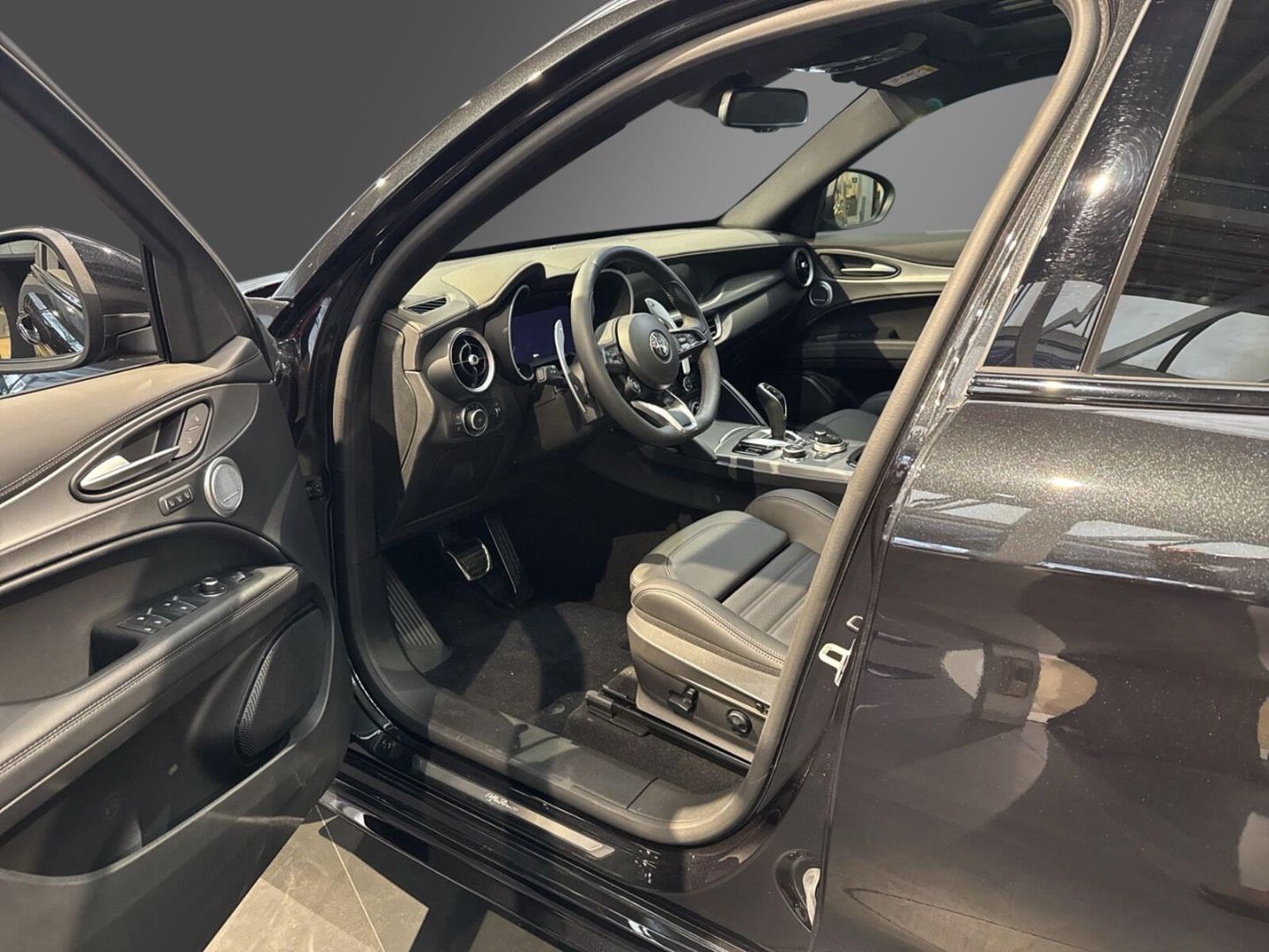 Fahrzeugabbildung Alfa Romeo Stelvio Veloce Q4 2.0 Turbo - AHK - 21 Zoll- Pan