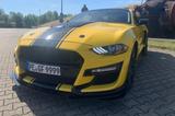Ford Mustang 5.0 V8 GT Bj.2018 Automatik  Tuning - : Tuning
