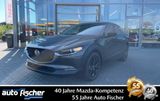 Mazda CX-30 2.0 (186PS) Schalter Homura Modell 2025 Ma - Mazda CX-30 Tageszulassungen