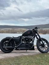 Harley-Davidson Sportster Iron 883 - Angebote