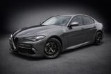 Alfa Romeo Giulia Quadrifoglio SPORTABGAS*ACC*CARBON*D.N.A. - Alfa Romeo Giulia Sport Gebrauchtwagen