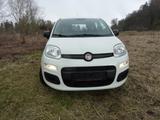 Fiat New Panda 1.2 8V MYSTYLE - Fiat New Panda: Kleinwagen