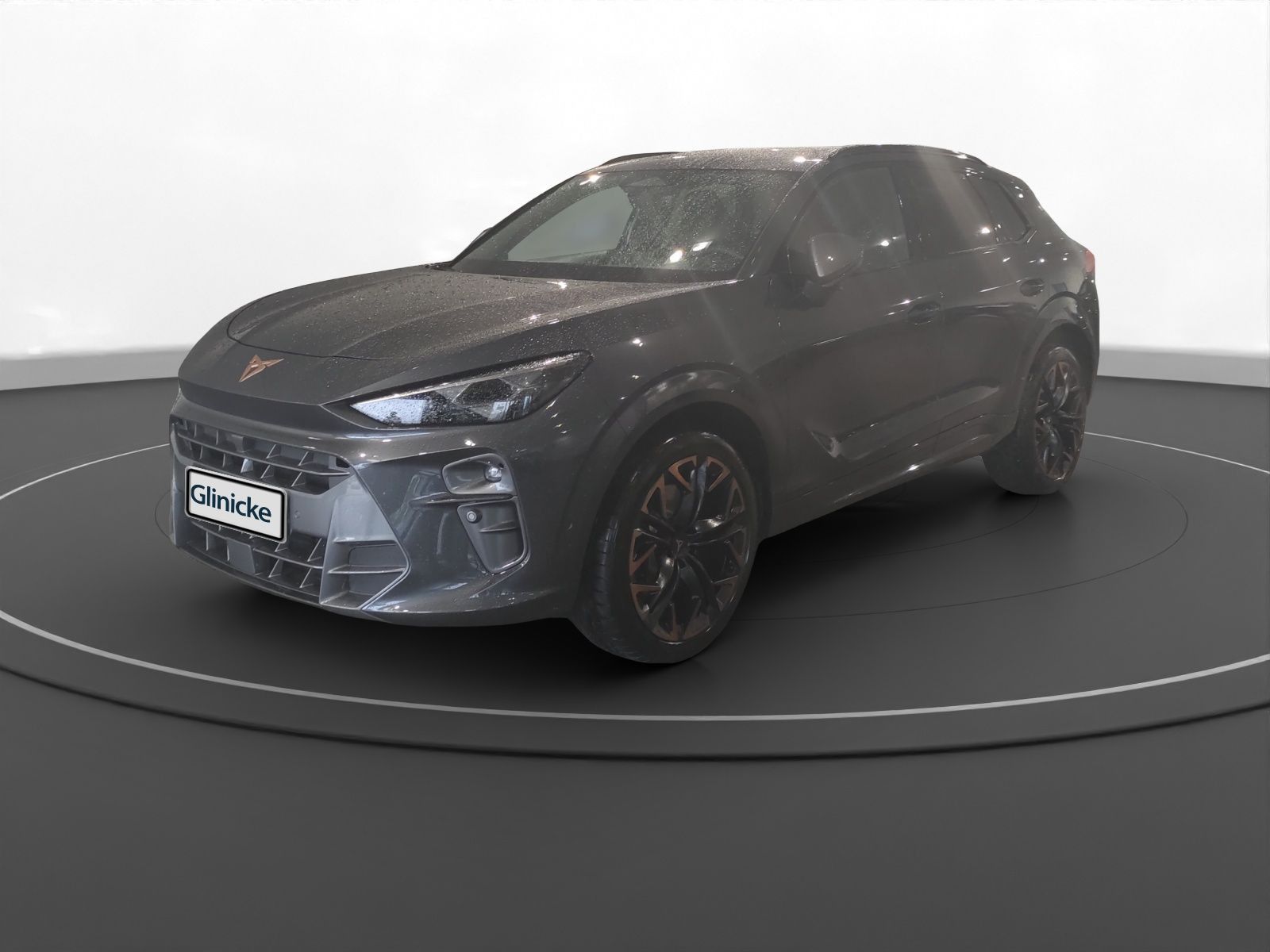 Cupra Terramar - Bild 2