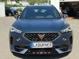 Cupra Formentor 2.0TSI VZ 4D *MATT+PANODACH+LEDER+NAVI - blaue Cupra Formentor