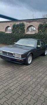 Jaguar Daimler xj40 bj.92 176000 km - Jaguar Daimler in Bochum
