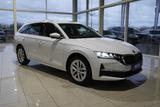 Skoda Octavia Selection Facelift 1.5TSI 150PS DSG mHEV - Skoda Octavia Tageszulassungen