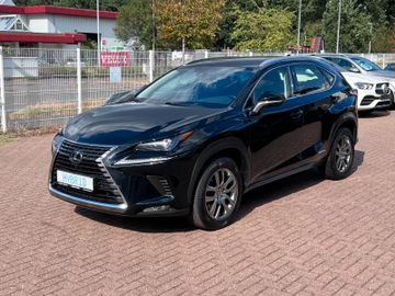 Lexus NX 300h Hybrid Kamera Automatik