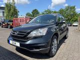 Honda CR-V Elegance 50 Jahre Edition Automatik Leder - Honda: Cr 50
