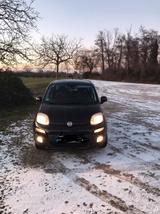 Fiat Sparsamer Fiat Panda zu verkaufen - mit Benzin-Antrieb: Sparsame