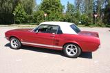 Ford Mustang 289ci V8 - H-Zulassung - Wertgutachten - Ford Mustang aus 1967: Coupe