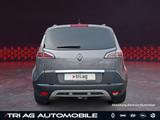 Renault SCENIC III Bose Edition dCi 110 EDC Navigation E - Renault Scenic: Bose Edition