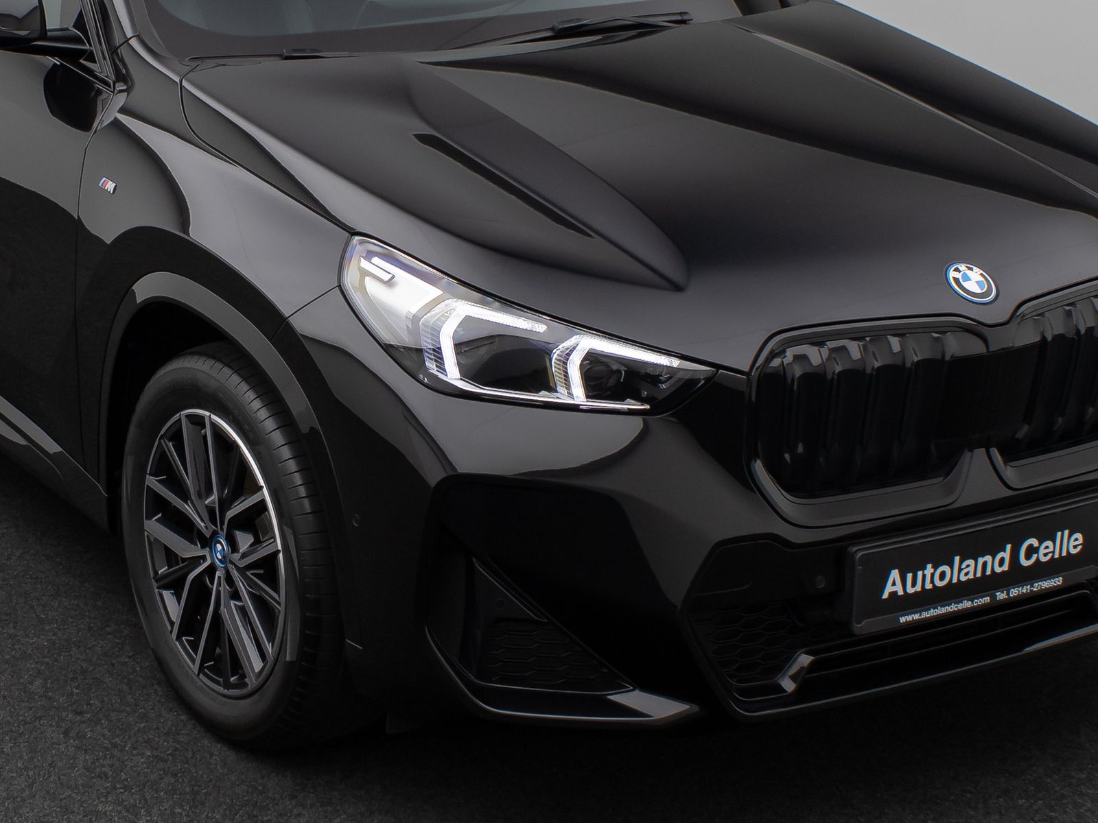 Fahrzeugabbildung BMW iX1 xD30 M Sport Kamera DAB DrivAssist Komfort