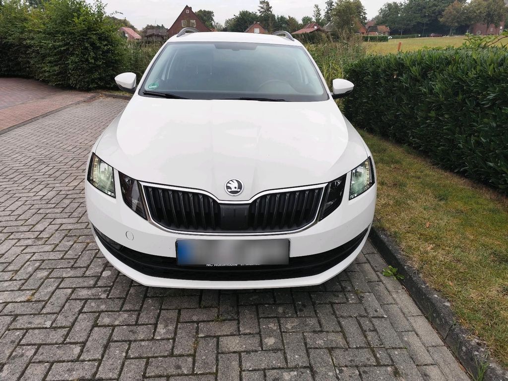Image of Skoda Octavia