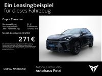 Cupra Terramar - Vorschau Bild 2
