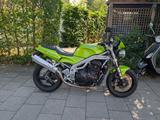 Triumph Speed Triple 955i / T509, Bj. 1999, grün - TRIUMPH TRIPLE SPEED T509