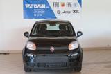 Fiat Panda Pandina 1.0 Hybrid *CityPaket* - Fiat Panda: Pandina