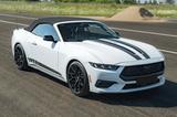 Ford Mustang Cabrio 2.3EcoBoost Premiuim 36m.Garantie - gebrauchte Ford Mustang aus dem Jahr 2024