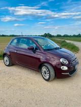 Fiat 500 0.9 TwinAir Lounge | TÜV wurde ne... - Fiat 500: Twinair Lounge