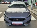 Cupra Leon *Ihr Cupra Vertragspartner* - gebrauchte Cupra Kleinwagen