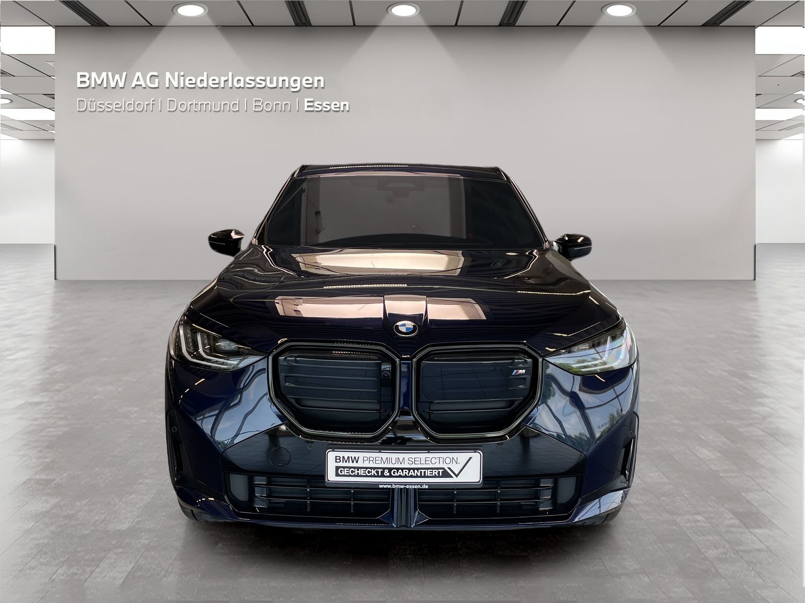 BMW X3 M50 - Bild 8
