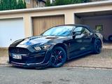 Ford Mustang 2,3 EcoBoost SHELBY KAM NAVI SITZBE - Ford Mustang: Ecoboost