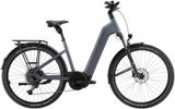 Pegasus Premio EVO SUV 10 S - Pegasus E-Bikes