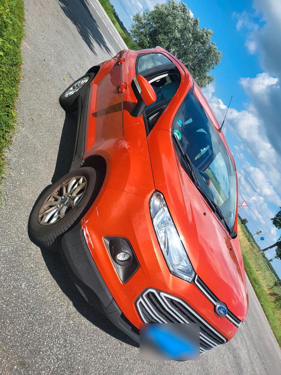 Ford EcoSport 2015 — фото 6