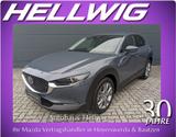 Mazda CX-30 2.0l Skyactiv-X Takumi Leder Bose 360° Kam - Mazda CX-30: Takumi