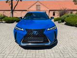 Lexus UX 250h Executive Line - Lexus UX aus 2020
