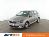 Skoda Fabia 1.0 TSI Ambition *TEMPO*PDC*SHZ*KLIMA* - Skoda Fabia Gebrauchtwagen in Nürnberg