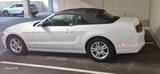 Ford Mustang - gebrauchte Ford Mustang aus dem Jahr 2013