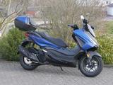 Honda Forza 125 Mod. 2025 "Deal-Days" 500€ sparen - HONDA ROLLER 50