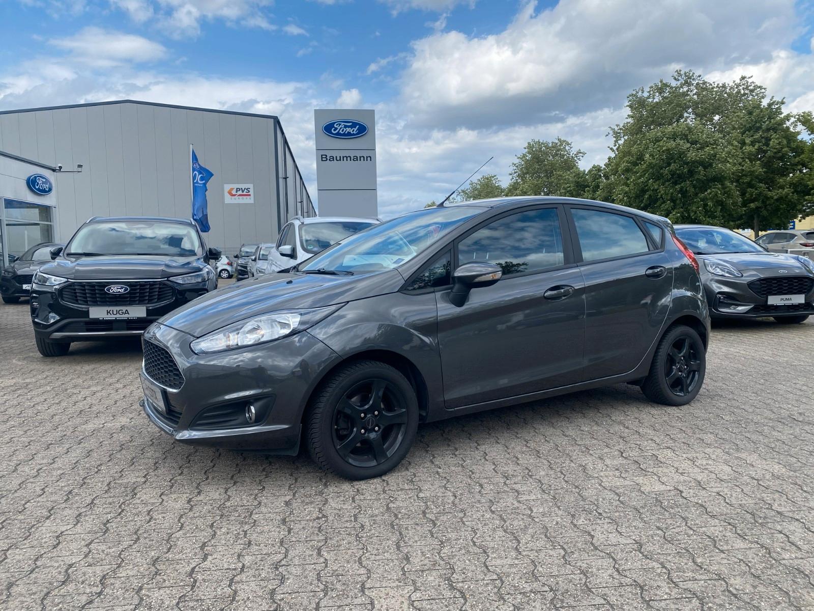 Ford Fiesta Celebration*Winter-Paket*Easy-Driver*uvm.