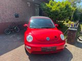 Volkswagen VW New Beetle Cabrio - Volkswagen New Beetle in Hamburg