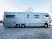 Mercedes-Benz Actros 2651 AKX  Pop-Out,  6 Pferde