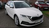 Skoda Octavia Combi Sondermodell  First Edition - Skoda Octavia: Sondermodell