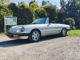 Alfa Romeo Spider - gebrauchte Alfa Romeo Spider aus dem Jahr 1984