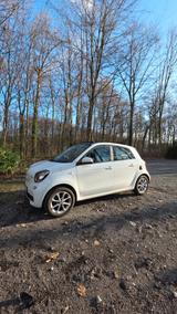 Smart ForFour 1.0 52kW Passion  Faltdach, Alufelgen - Smart ForFour in Duisburg