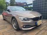 BMW 428 Gran Coupé 428i Gran Coupé Luxury Line L... - BMW 428 Gran Coupé