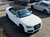 Audi A5 Cabriolet 2.0 TDI S line EDITION+ XENON SOUND - Audi A5 mit Diesel-Antrieb: Cabrio