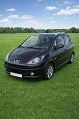 Peugeot 1007 1.4 Premium Automatik - Peugeot 1007 Gebrauchtwagen
