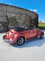 Volkswagen Käfer - Volkswagen Käfer: Rot