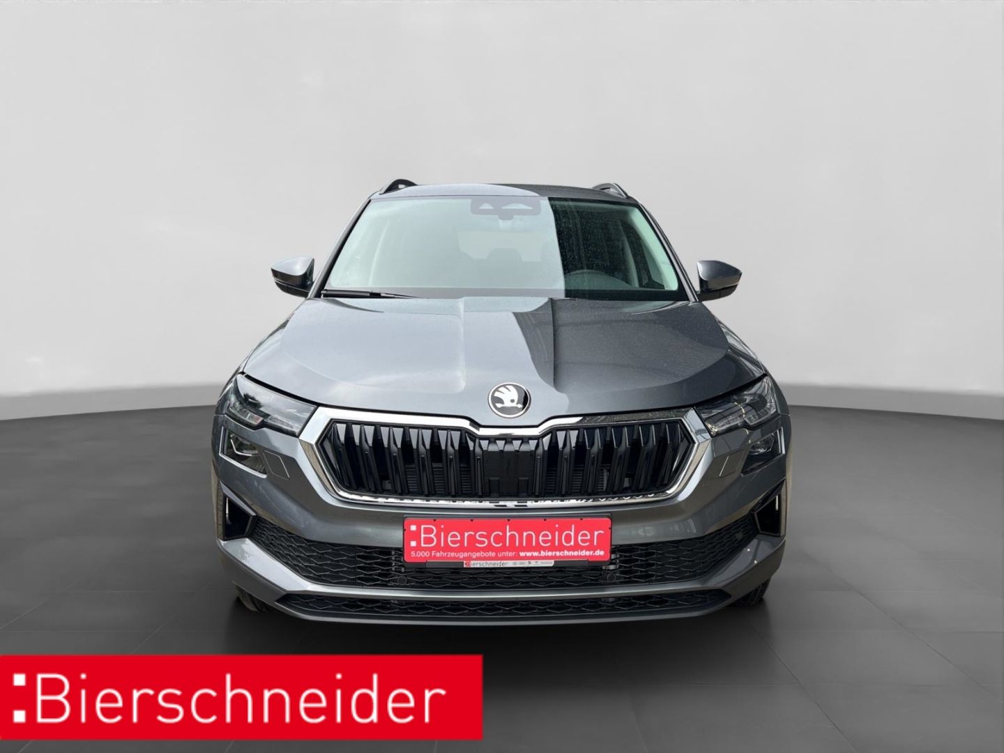 Skoda Karoq - Bild 10