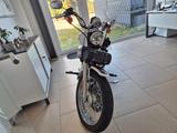 Harley-Davidson XL 1200L Spotster.Taschen,Schild.Alarm.Kess-Tech