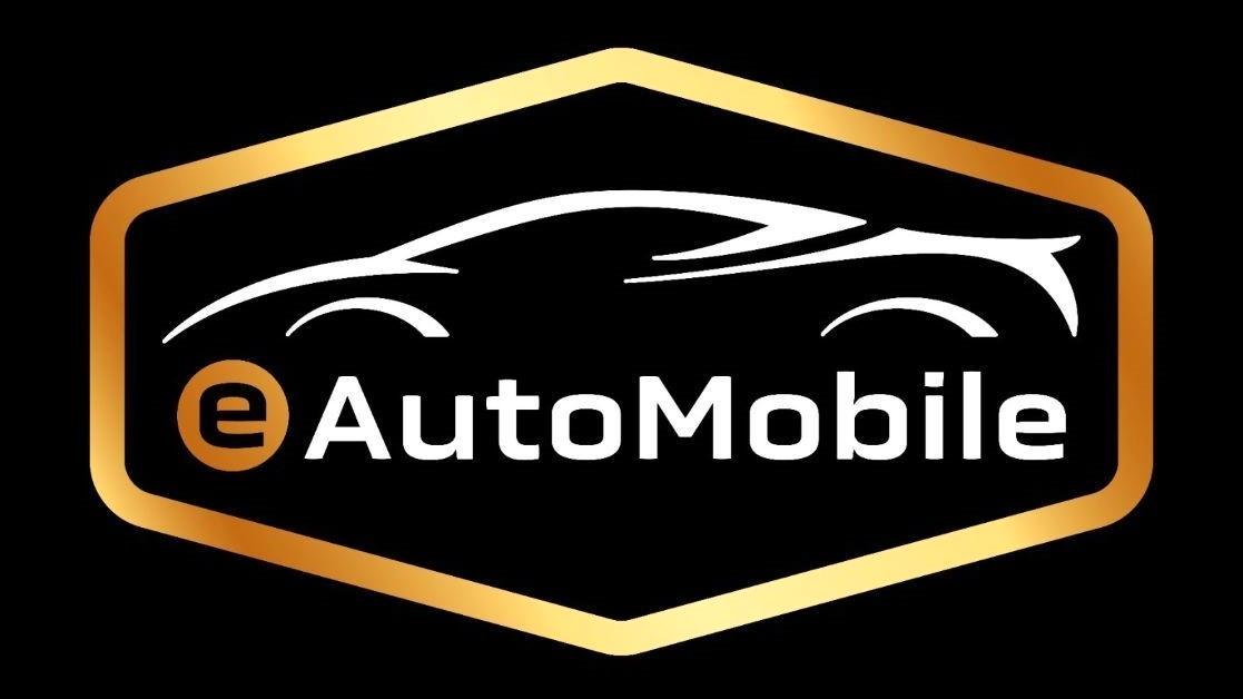 Skoda Octavia 1.6 TDI DSG Style Combi SR & WR