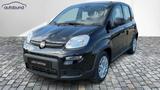 Fiat Panda 1,0  Hybrid (MHEV) Pandina Base NBA PDC SH - Fiat Panda in Leipzig