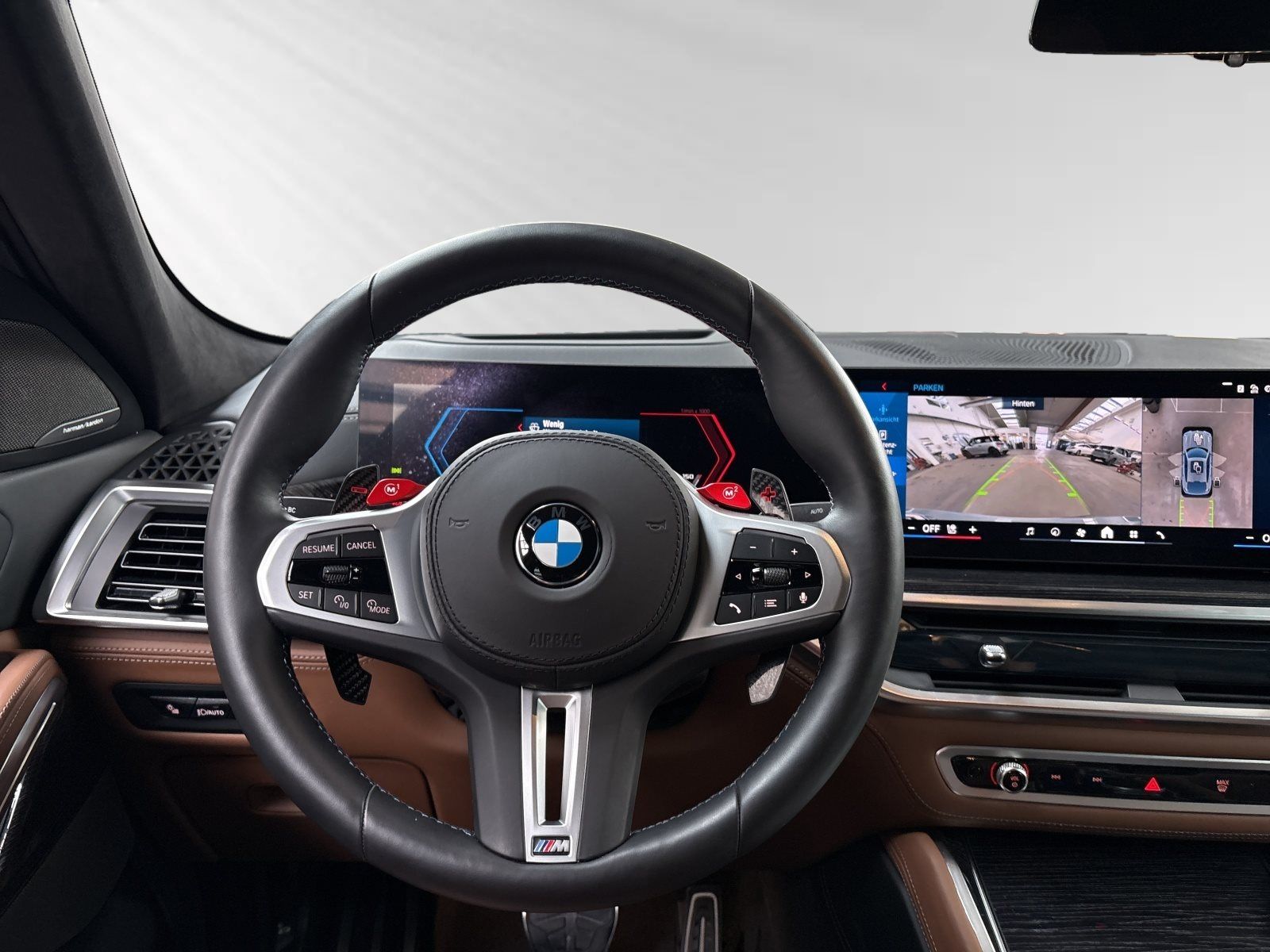 BMW X6 M - Bild 11