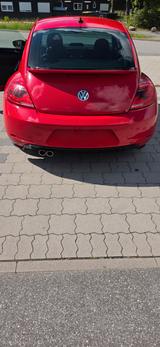 Volkswagen VW Beetle 1.4 TSI Sportline / STEUERKETTE NEU - Volkswagen: Sportline