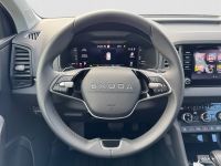 Skoda Karoq - Vorschau Bild 14